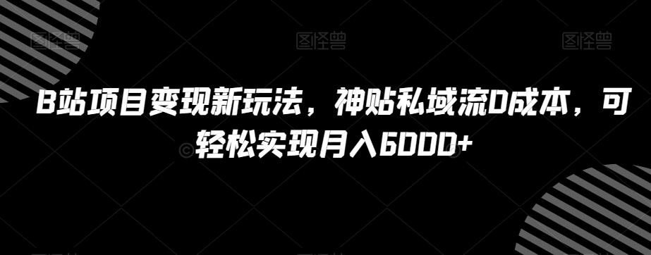 B站项目变现新玩法，神贴私域流0成本，可轻松实现月入6000+【揭秘】-谷进海小站
