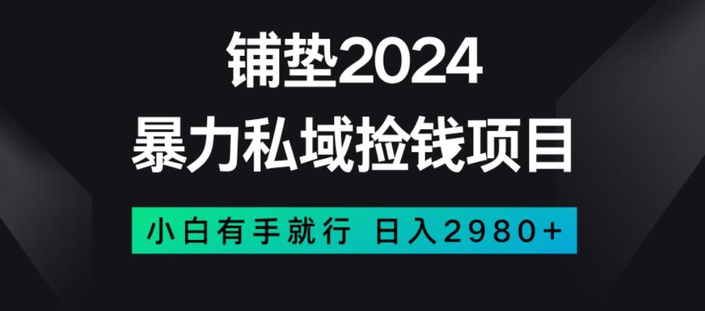 暴力私域捡钱项目，小白无脑操作，日入2980【揭秘】-谷进海小站