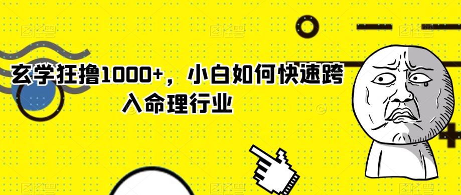 玄学狂撸1000+，小白如何快速跨入命理行业-谷进海小站