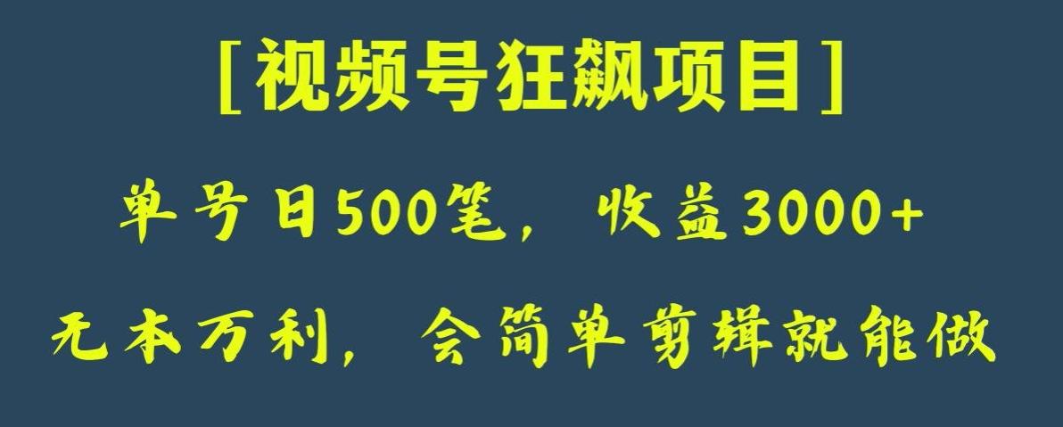 日收款500笔，纯利润3000+，视频号狂飙项目，会简单剪辑就能做【揭秘】-谷进海小站