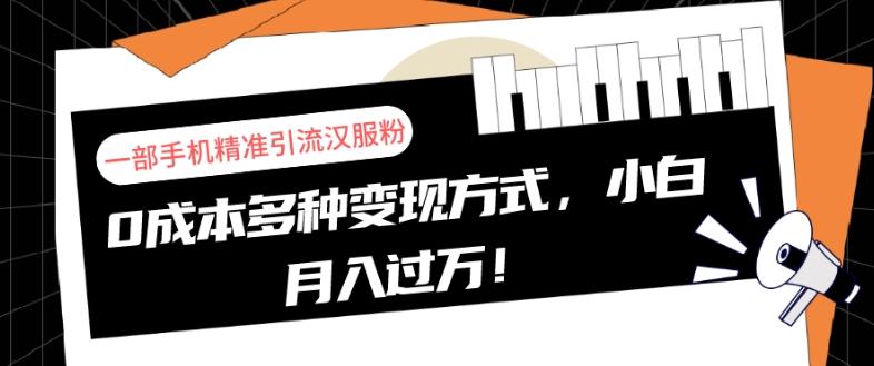 一部手机精准引流汉服粉，0成本多种变现方式，小白月入过万！-谷进海小站