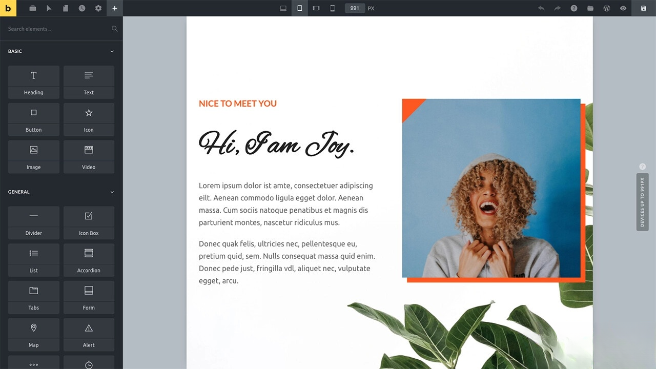 WordPress主题Bricks v1.9 破解版-谷进海小站