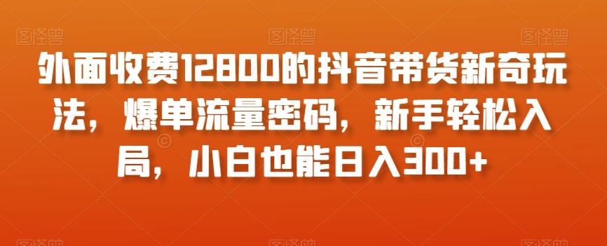 外面收费12800的抖音带货新奇玩法，爆单流量密码，新手轻松入局，小白也能日入300+【揭秘】-谷进海小站
