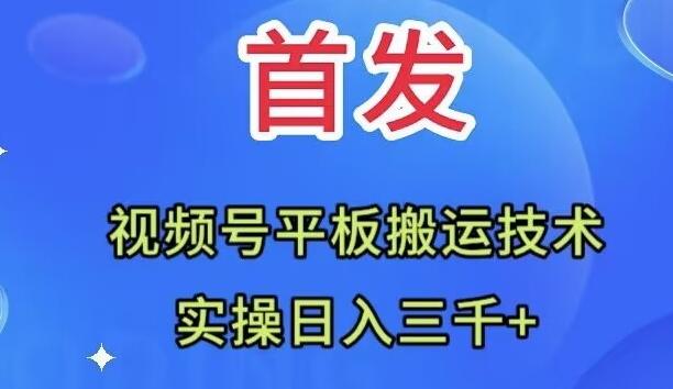 全网首发：视频号平板搬运技术，实操日入三千＋-谷进海小站