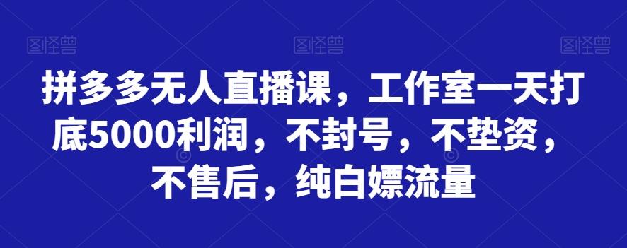 拼多多无人直播课，工作室一天打底5000利润，不封号，不垫资，不售后，纯白嫖流量-谷进海小站