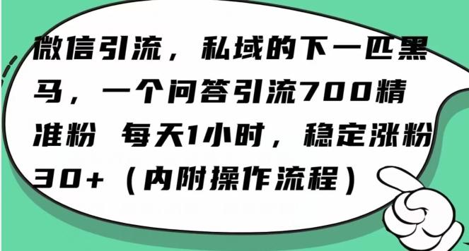 怎么搞精准创业粉？微信新赛道，每天一小时，利用Ai一个问答日引100精准粉-谷进海小站