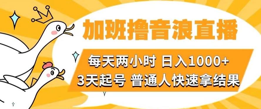 加班撸音浪直播，每天两小时，日入1000+，直播话术才3句，3天起号，普通人快速拿结果【揭秘】-谷进海小站