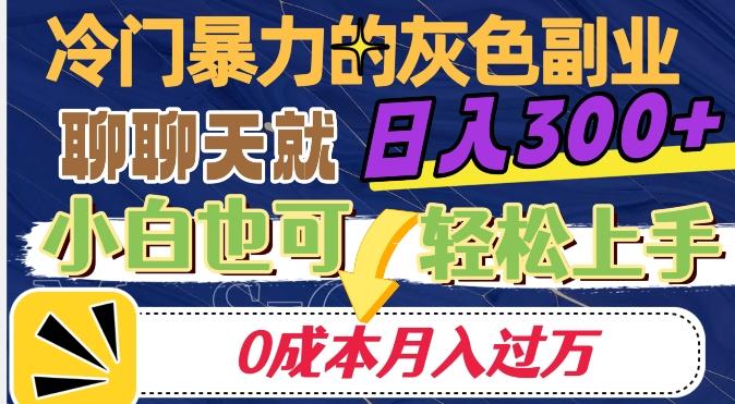 冷门暴利的副业项目，聊聊天就能日入300+，0成本月入过万【揭秘】-谷进海小站