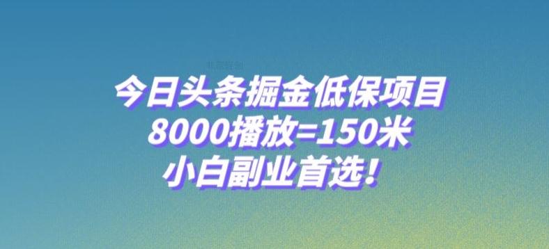 今日头条掘金低保项目，8000播放=150米，小白副业首选【揭秘】-谷进海小站