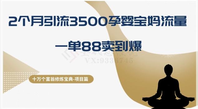 十万个富翁修炼宝典之13.2个月引流3500孕婴宝妈流量，一单88卖到爆-谷进海小站