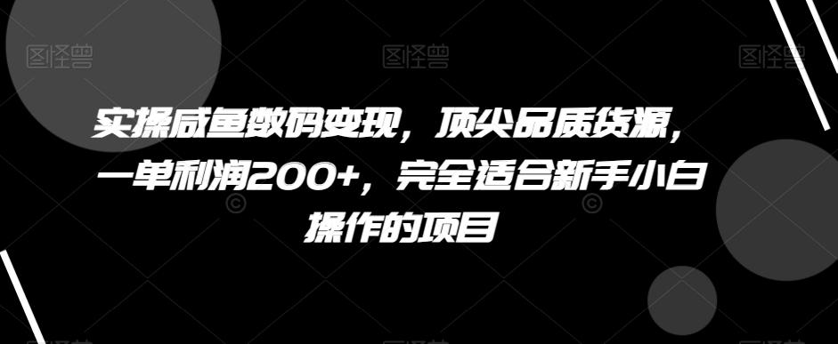 实操咸鱼数码变现，顶尖品质货源，一单利润200+，完全适合新手小白操作的项目【揭秘】-谷进海小站