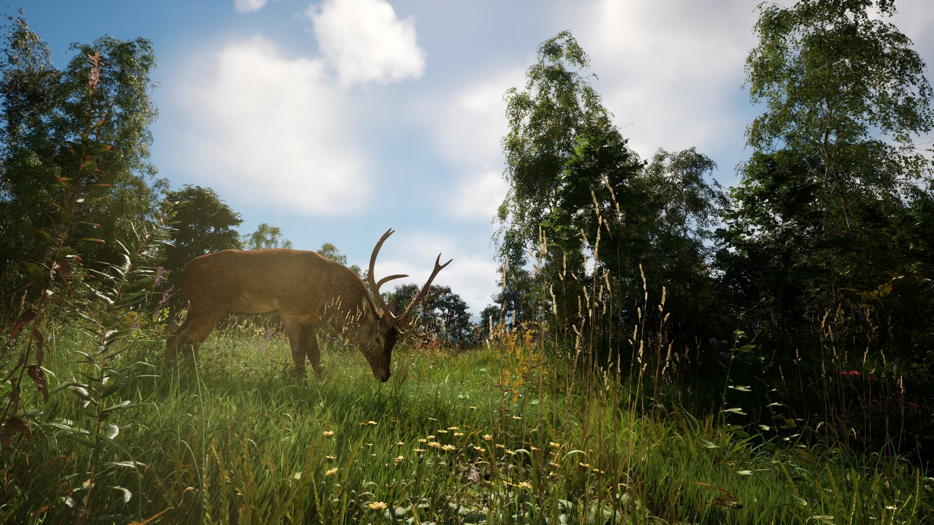 《恐惧地带/DREADZONE》PC中文版下载-含v1.5.5.1-谷进海小站