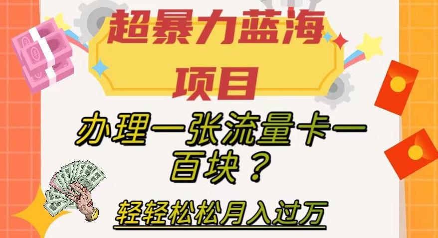 超暴力蓝海项目，办理一张流量卡一百块？轻轻松松月入过万，保姆级教程【揭秘】-谷进海小站