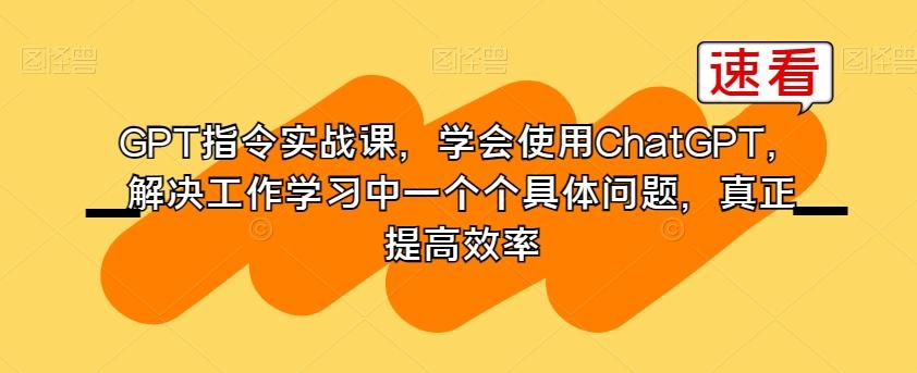 GPT指令实战课，学会使用ChatGPT，解决工作学习中一个个具体问题，真正提高效率-谷进海小站