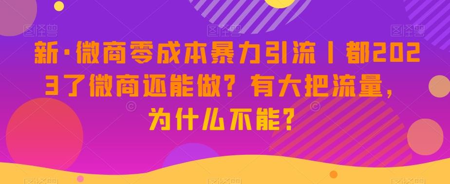 新·微商零成本暴力引流丨都2023了微商还能做？有大把流量，为什么不能？-谷进海小站