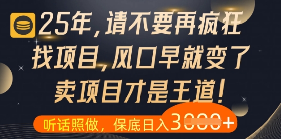 什么？25年你还在疯狂找项目做，醒醒吧，看完这些你全都懂了【揭秘】-谷进海小站