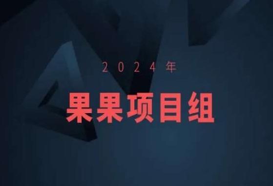 2024年果果项目组项目合集-果果最新项目-谷进海小站