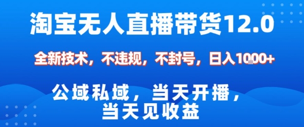 淘宝无人直播12.0，公域私域技术，不封号，不违规布局双十一流量风口，日入1k(独家技术)【揭秘】-谷进海小站