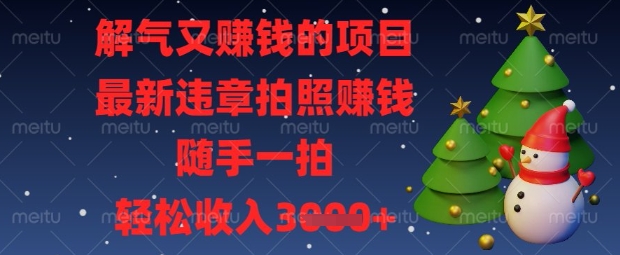 解气又挣钱的项目，最新违章拍照挣钱，随手一拍，轻松收入数张【揭秘】-谷进海小站