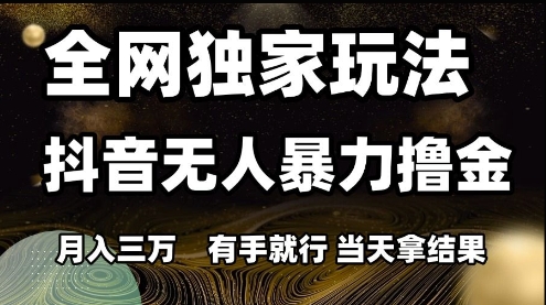 全网独家玩法抖音无人暴力撸金，月入3W，有手就行，当天拿结果【揭秘】-谷进海小站