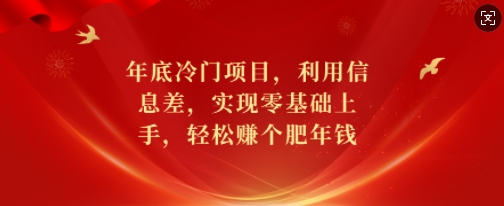 年底冷门项目，利用信息差，实现零基础上手，轻松赚个肥年钱【揭秘】-谷进海小站