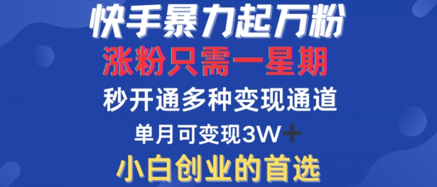 快手暴力起万粉，涨粉只需一星期，多种变现模式，直接秒开万合，单月变现过W【揭秘】-谷进海小站