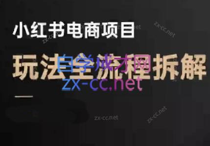 菲菲老师·小红书电商玩法(更新9月)-谷进海小站