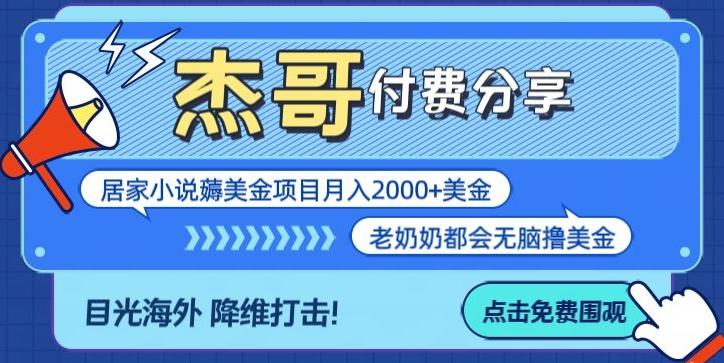 拆解海外撸美金项目月入2000美刀详细指导-谷进海小站