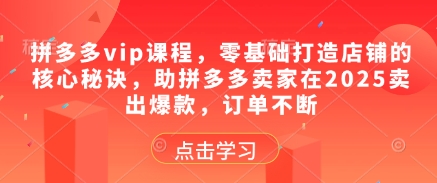 拼多多vip课程，零基础打造店铺的核心秘诀，助拼多多卖家在2025卖出爆款，订单不断-谷进海小站