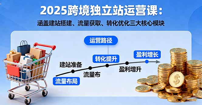 2025跨境独立站运营课：涵盖建站搭建、流量获取、转化优化三大核心模块-谷进海小站