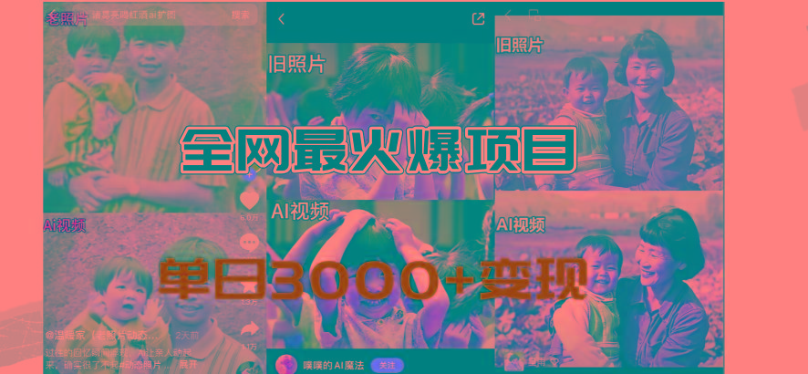 全网爆火的AI让老照片动起来教程，蹭热点日赚3000+，内含免费工具一键…-谷进海小站