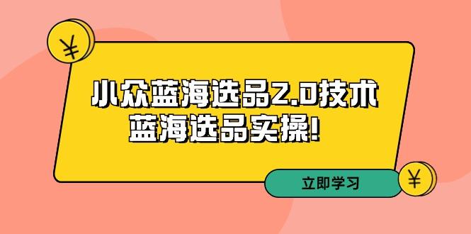拼多多培训第33期：小众蓝海选品2.0技术-蓝海选品实操！-谷进海小站