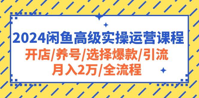 2024闲鱼高级实操运营课程：开店/养号/选择爆款/引流/月入2万/全流程-谷进海小站