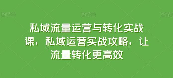 私域流量运营与转化实战课，私域运营实战攻略，让流量转化更高效-谷进海小站