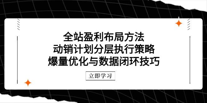 全站盈利布局方法：动销计划分层执行策略，爆量优化与数据闭环技巧-谷进海小站