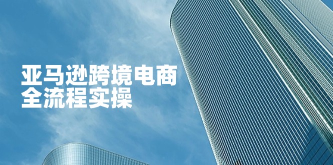 亚马逊跨境电商全流程实操，教你从零开始，掌握店铺运营与广告技巧-谷进海小站