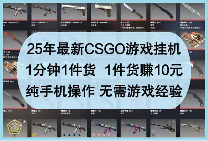 25年最新CSGO游戏挂机，1分钟1件货，1件货赚10元 纯手机操作 无需游戏经验-谷进海小站