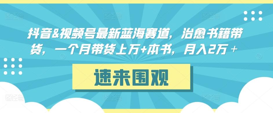 抖音&视频号最新蓝海赛道，治愈书籍带货，一个月带货上万+本书，月入2万＋【揭秘】-谷进海小站