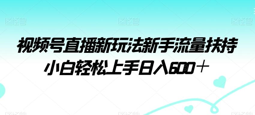 视频号直播新玩法新手流量扶持小白轻松上手日入600＋【揭秘】-谷进海小站