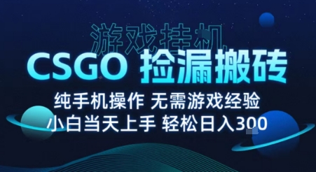 8月最新游戏搬砖，CSGO纯挂G，不需要玩游戏，实现真挂G，月入1W+【揭秘】-谷进海小站