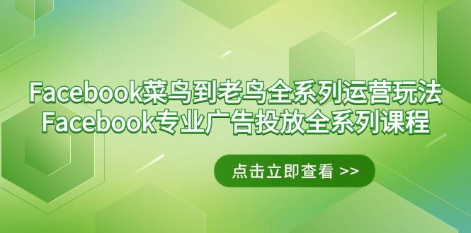 Facebook-菜鸟到老鸟全系列运营玩法+Facebook-专业广告投放全系列课程-谷进海小站