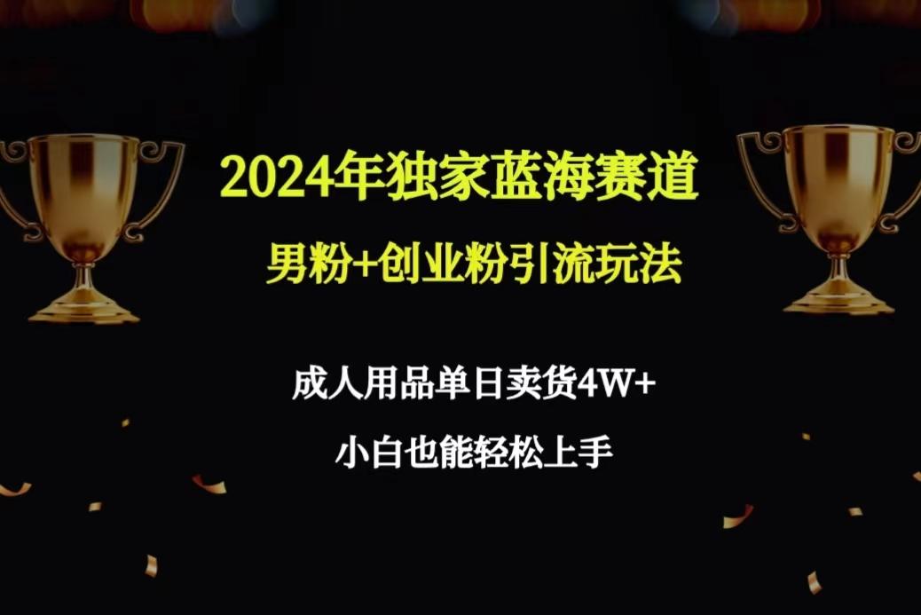 2024年独家蓝海赛道男粉+创业粉引流玩法，成人用品单日卖货4W+保姆教程-谷进海小站