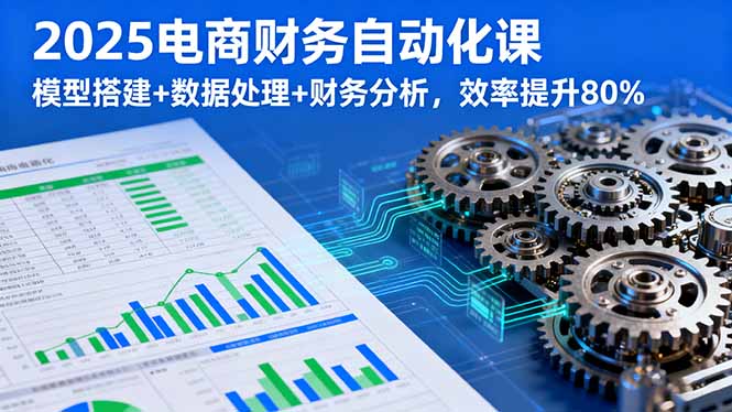2025电商财务自动化课，模型搭建+数据处理+财务分析，效率提升80%-谷进海小站