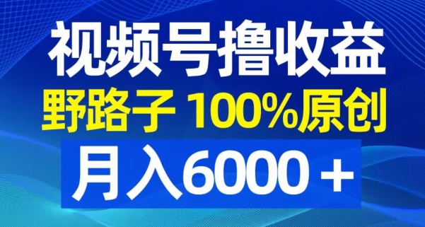 视频号野路子撸收益，100%原创，条条爆款，月入6000＋【揭秘】-谷进海小站
