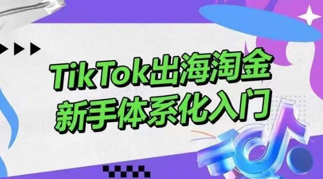 TikTok出海淘金，新手体系化入门，零基础快速入门，掌握短视频、直播带货等引流到变现的知识-谷进海小站