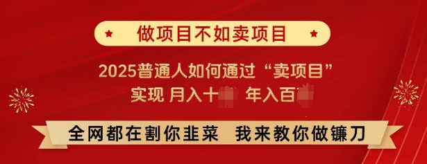 必看，做项目不如卖项目，2025普通人如何通过“卖项目”实现月入十个，年入百个-谷进海小站