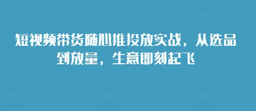 短视频带货随心推投放实战，从选品到放量，生意即刻起飞-谷进海小站