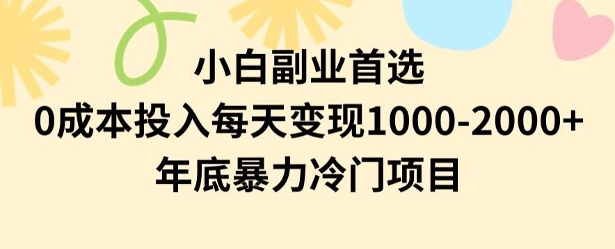 小白副业首选，0成本投入，每天变现1000-2000年底暴力冷门项目【揭秘】-谷进海小站