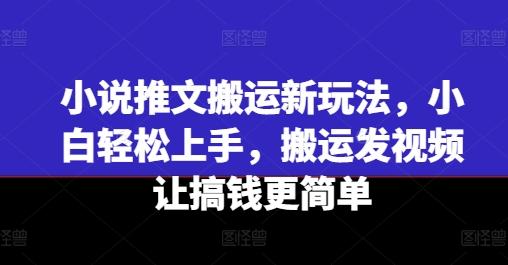 小说推文搬运新玩法，小白轻松上手，搬运发视频让搞钱更简单-谷进海小站
