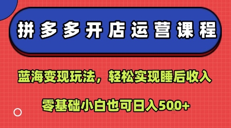 拼多多开店运营课程：蓝海变现玩法，轻松实现睡后收入，零基础小白也可日入5张-谷进海小站